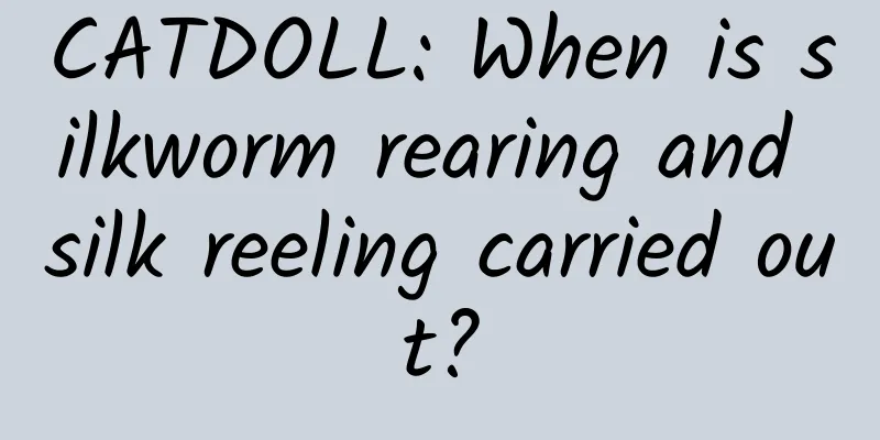 CATDOLL: When is silkworm rearing and silk reeling carried out?