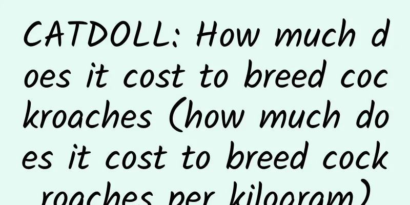 CATDOLL: How much does it cost to breed cockroaches (how much does it cost to breed cockroaches per kilogram)