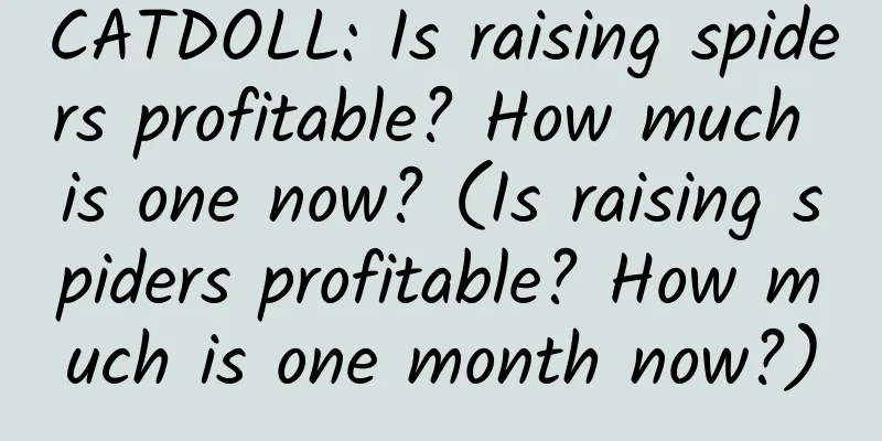 CATDOLL: Is raising spiders profitable? How much is one now? (Is raising spiders profitable? How much is one month now?)