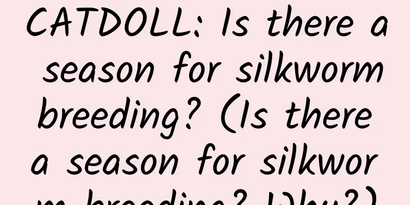 CATDOLL: Is there a season for silkworm breeding? (Is there a season for silkworm breeding? Why?)