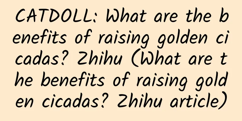 CATDOLL: What are the benefits of raising golden cicadas? Zhihu (What are the benefits of raising golden cicadas? Zhihu article)