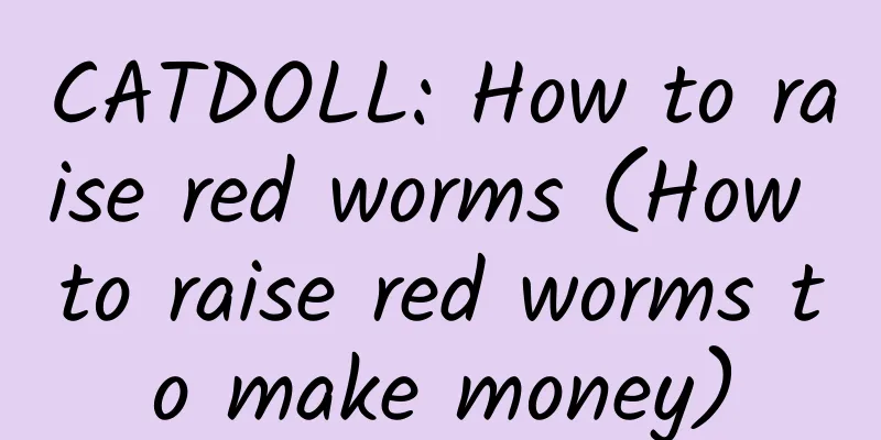 CATDOLL: How to raise red worms (How to raise red worms to make money)