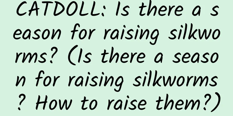 CATDOLL: Is there a season for raising silkworms? (Is there a season for raising silkworms? How to raise them?)