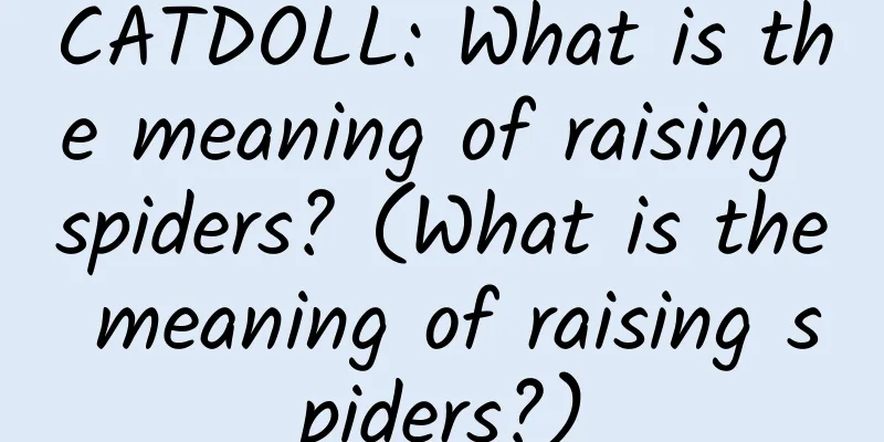 CATDOLL: What is the meaning of raising spiders? (What is the meaning of raising spiders?)