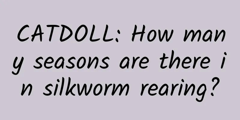 CATDOLL: How many seasons are there in silkworm rearing?