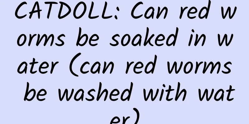 CATDOLL: Can red worms be soaked in water (can red worms be washed with water)