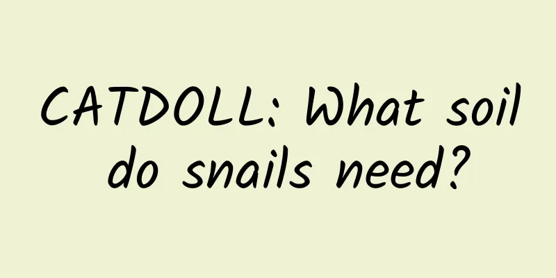 CATDOLL: What soil do snails need?