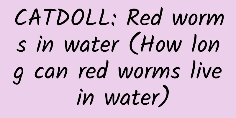 CATDOLL: Red worms in water (How long can red worms live in water)