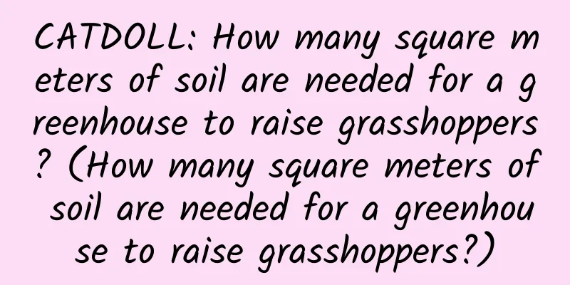 CATDOLL: How many square meters of soil are needed for a greenhouse to raise grasshoppers? (How many square meters of soil are needed for a greenhouse to raise grasshoppers?)