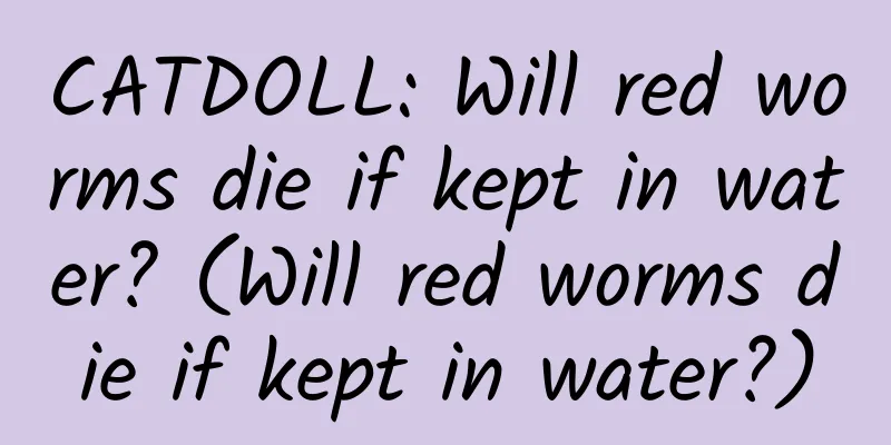 CATDOLL: Will red worms die if kept in water? (Will red worms die if kept in water?)