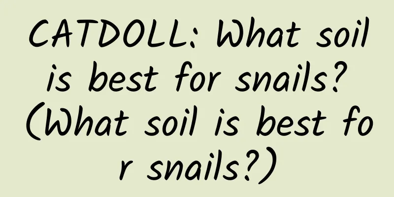 CATDOLL: What soil is best for snails? (What soil is best for snails?)