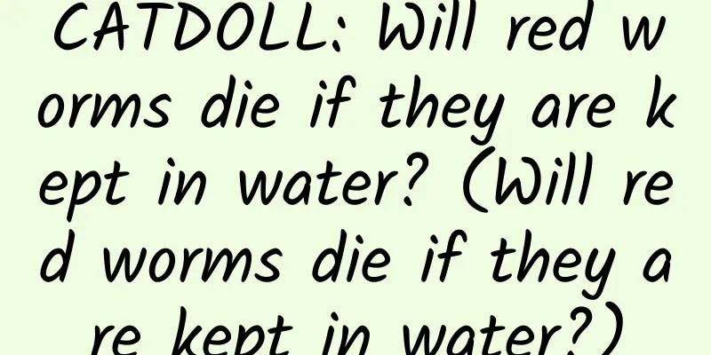 CATDOLL: Will red worms die if they are kept in water? (Will red worms die if they are kept in water?)