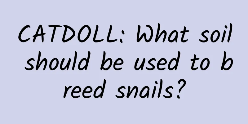 CATDOLL: What soil should be used to breed snails?