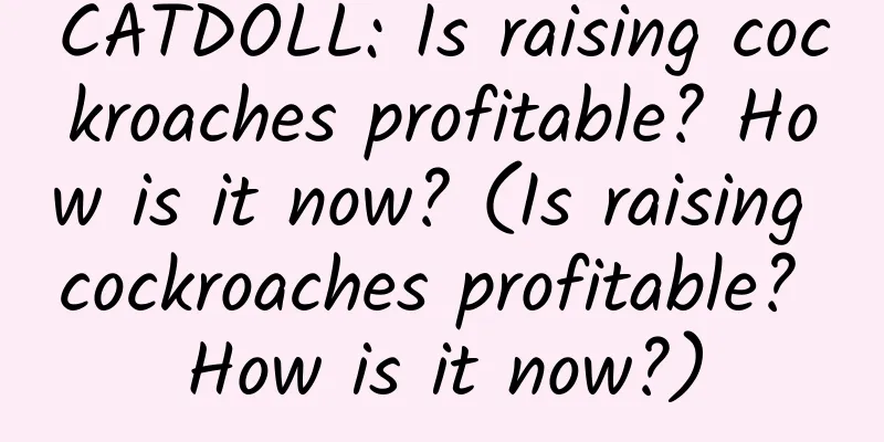 CATDOLL: Is raising cockroaches profitable? How is it now? (Is raising cockroaches profitable? How is it now?)