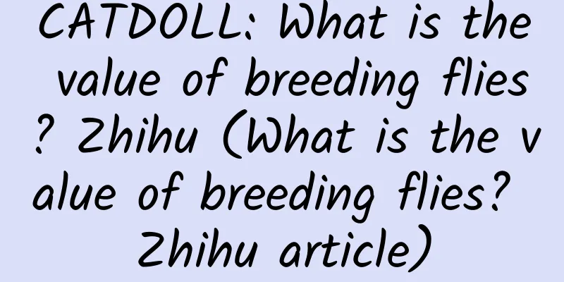 CATDOLL: What is the value of breeding flies? Zhihu (What is the value of breeding flies? Zhihu article)