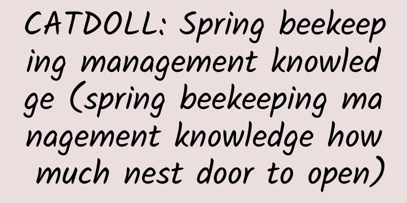 CATDOLL: Spring beekeeping management knowledge (spring beekeeping management knowledge how much nest door to open)