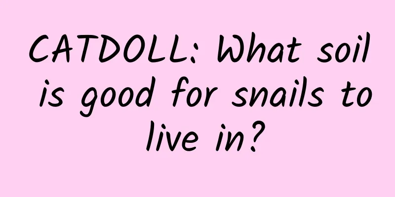 CATDOLL: What soil is good for snails to live in?