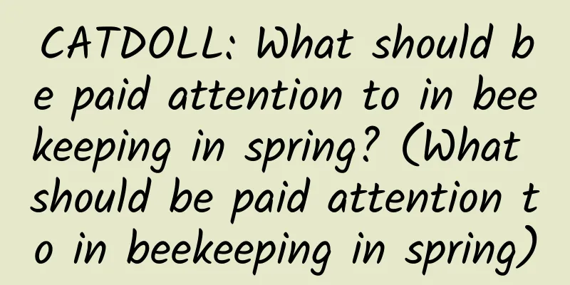 CATDOLL: What should be paid attention to in beekeeping in spring? (What should be paid attention to in beekeeping in spring)