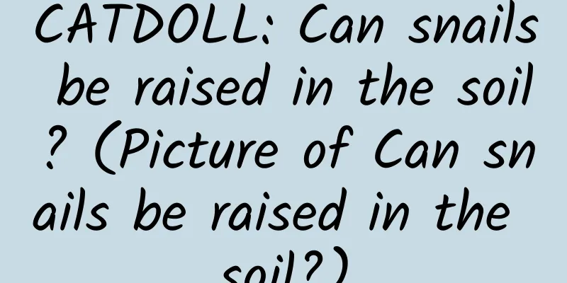 CATDOLL: Can snails be raised in the soil? (Picture of Can snails be raised in the soil?)