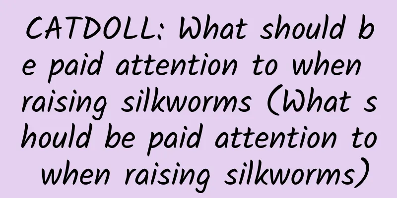CATDOLL: What should be paid attention to when raising silkworms (What should be paid attention to when raising silkworms)