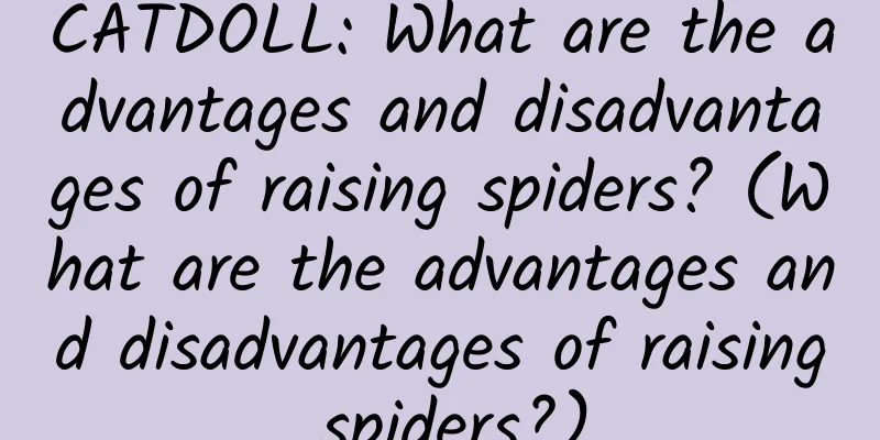 CATDOLL: What are the advantages and disadvantages of raising spiders? (What are the advantages and disadvantages of raising spiders?)