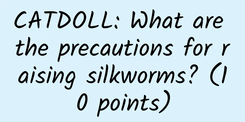 CATDOLL: What are the precautions for raising silkworms? (10 points)