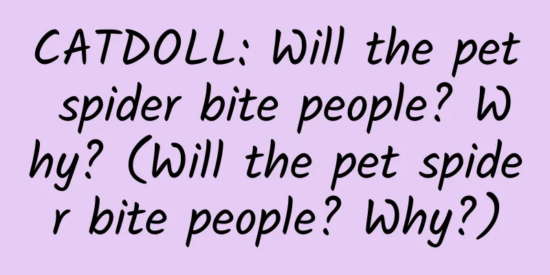CATDOLL: Will the pet spider bite people? Why? (Will the pet spider bite people? Why?)