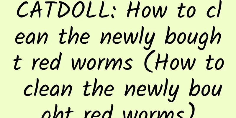 CATDOLL: How to clean the newly bought red worms (How to clean the newly bought red worms)