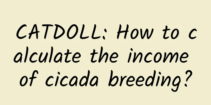 CATDOLL: How to calculate the income of cicada breeding?