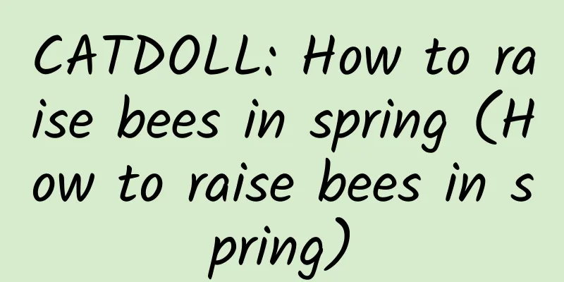 CATDOLL: How to raise bees in spring (How to raise bees in spring)
