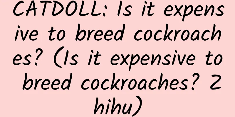 CATDOLL: Is it expensive to breed cockroaches? (Is it expensive to breed cockroaches? Zhihu)