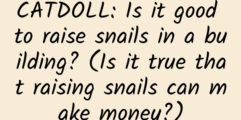 CATDOLL: Is it good to raise snails in a building? (Is it true that raising snails can make money?)