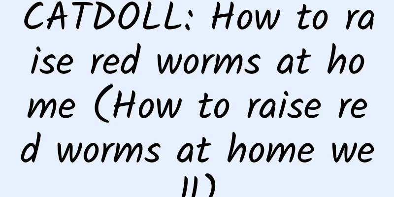 CATDOLL: How to raise red worms at home (How to raise red worms at home well)