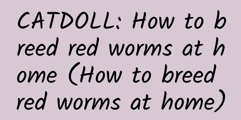 CATDOLL: How to breed red worms at home (How to breed red worms at home)