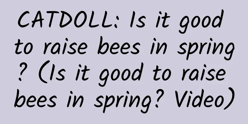 CATDOLL: Is it good to raise bees in spring? (Is it good to raise bees in spring? Video)