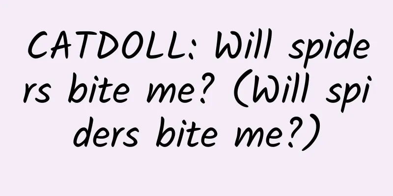 CATDOLL: Will spiders bite me? (Will spiders bite me?)