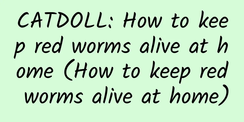 CATDOLL: How to keep red worms alive at home (How to keep red worms alive at home)