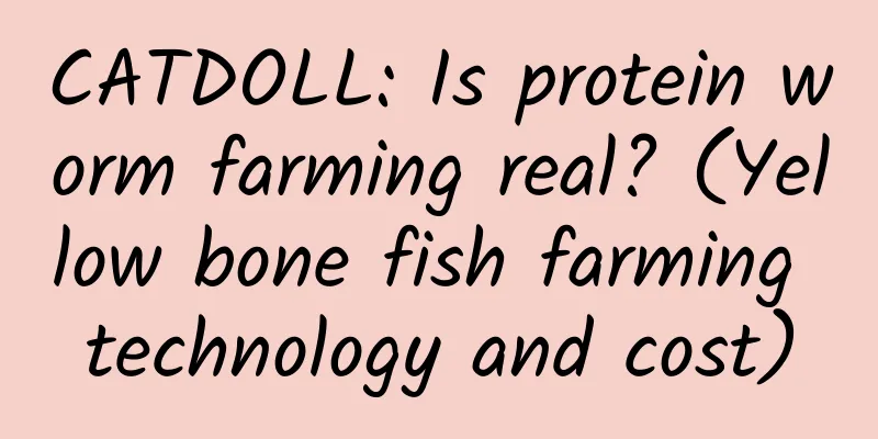 CATDOLL: Is protein worm farming real? (Yellow bone fish farming technology and cost)