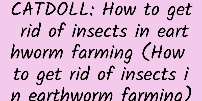 CATDOLL: How to get rid of insects in earthworm farming (How to get rid of insects in earthworm farming)