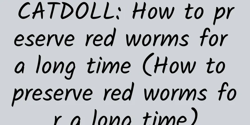 CATDOLL: How to preserve red worms for a long time (How to preserve red worms for a long time)