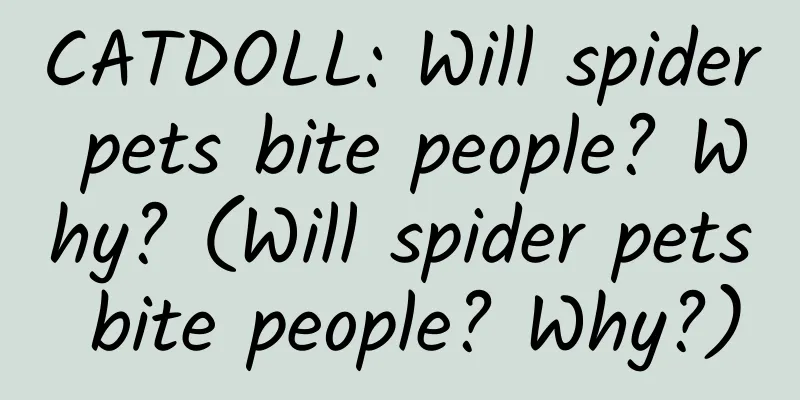 CATDOLL: Will spider pets bite people? Why? (Will spider pets bite people? Why?)
