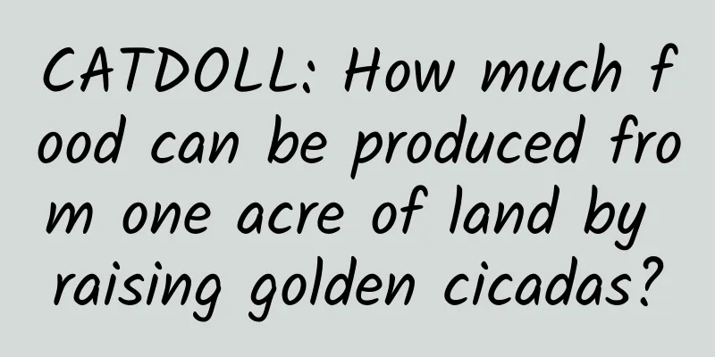 CATDOLL: How much food can be produced from one acre of land by raising golden cicadas?
