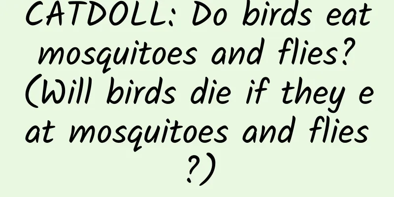 CATDOLL: Do birds eat mosquitoes and flies? (Will birds die if they eat mosquitoes and flies?)