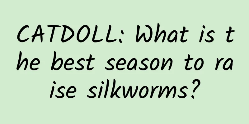 CATDOLL: What is the best season to raise silkworms?