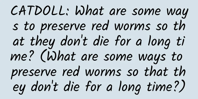 CATDOLL: What are some ways to preserve red worms so that they don't die for a long time? (What are some ways to preserve red worms so that they don't die for a long time?)