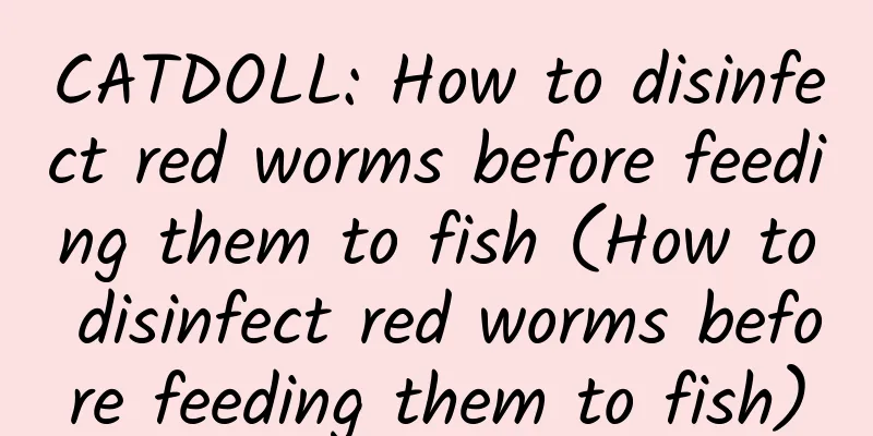 CATDOLL: How to disinfect red worms before feeding them to fish (How to disinfect red worms before feeding them to fish)