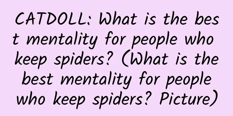 CATDOLL: What is the best mentality for people who keep spiders? (What is the best mentality for people who keep spiders? Picture)