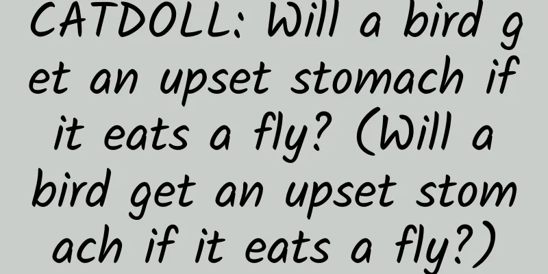 CATDOLL: Will a bird get an upset stomach if it eats a fly? (Will a bird get an upset stomach if it eats a fly?)