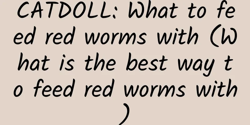 CATDOLL: What to feed red worms with (What is the best way to feed red worms with)