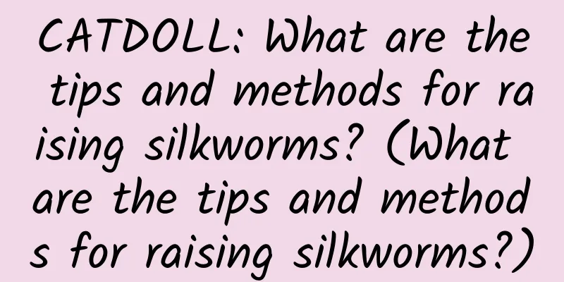 CATDOLL: What are the tips and methods for raising silkworms? (What are the tips and methods for raising silkworms?)